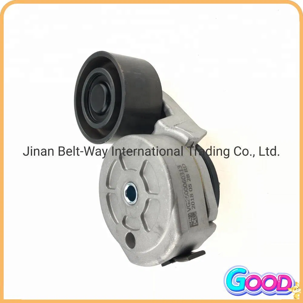 Натяжной ролик двигателя Sinotruk HOWO Weichai VG2600060313