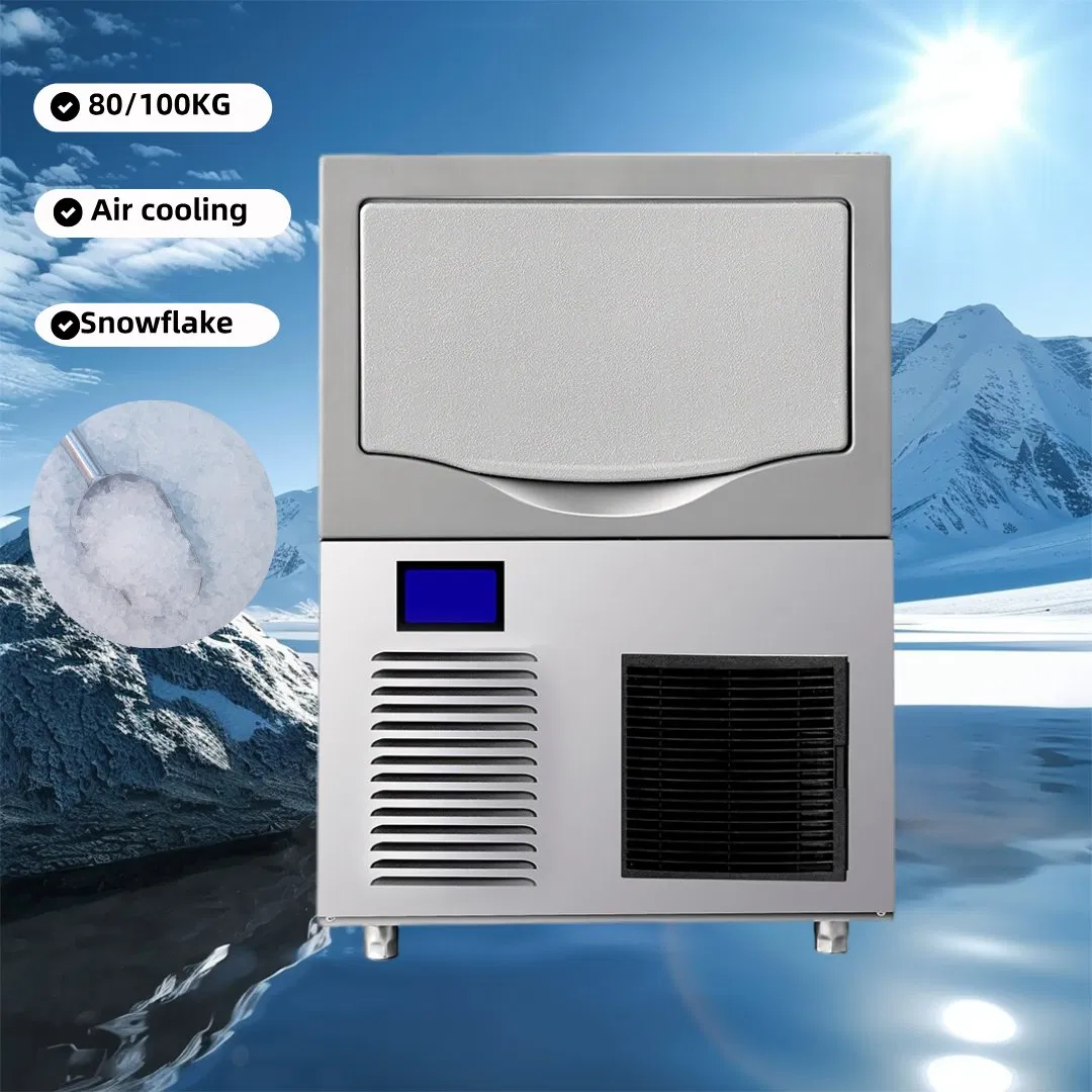 Professional 150kg/24h Snowflake Ice Maker for Factories and Industrial Use