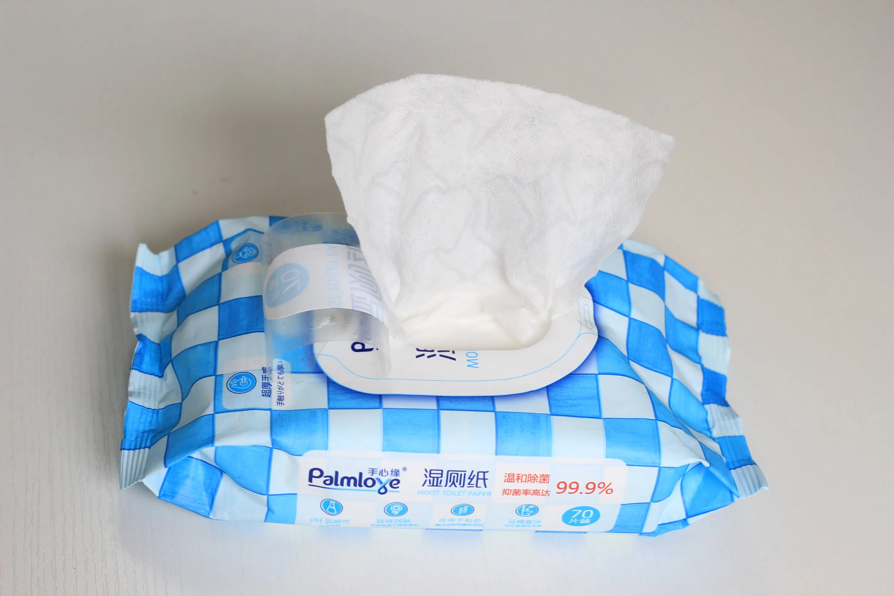 Palmlove The Best Flushable Private Label Water Based Wet Wipes