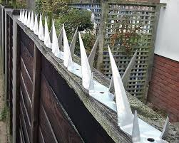 PVC Coated Stainless Steel Galvanized Anti-Climb Anti Thief Security Wall Fence Razor Spikes