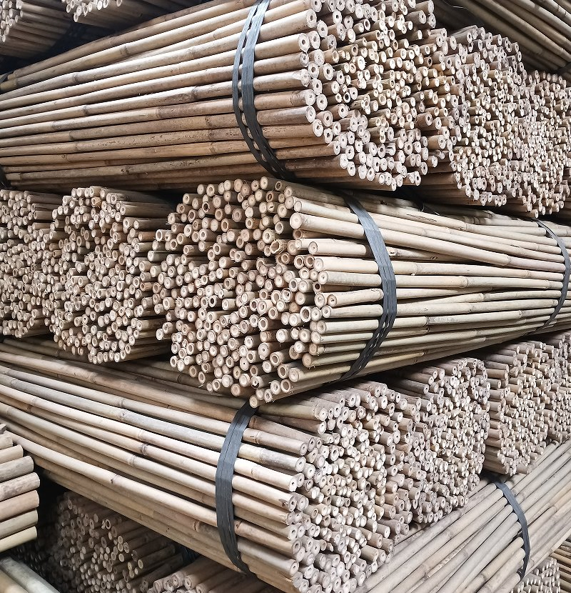 Best Bamboo Pole Supplier for DIY Projects