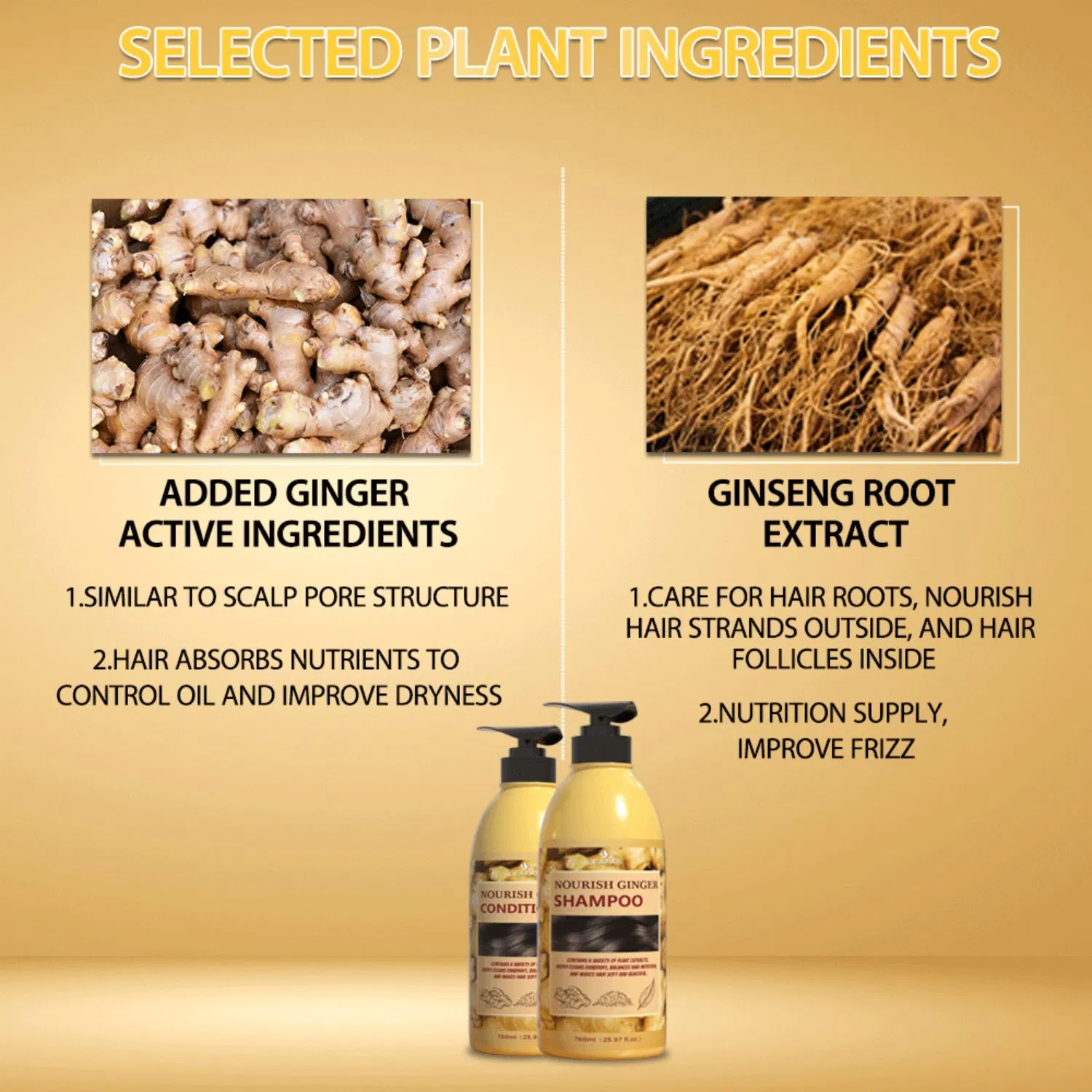 Deep Cleaning Anti-Hair Loss Ginger Shampoo and Conditioner for All Hair Type