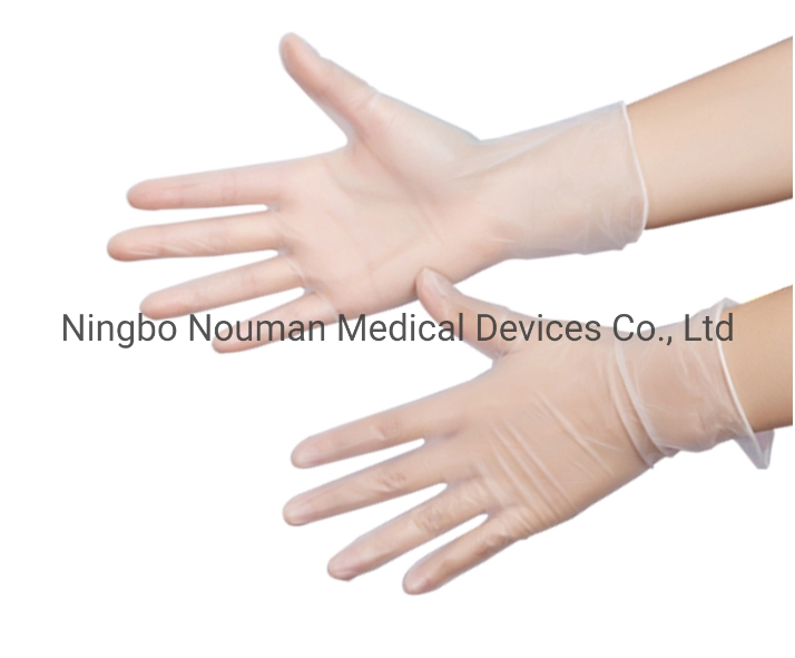 Disposable Factory ISO Powder Free Transparent PVC Vinyl Gloves