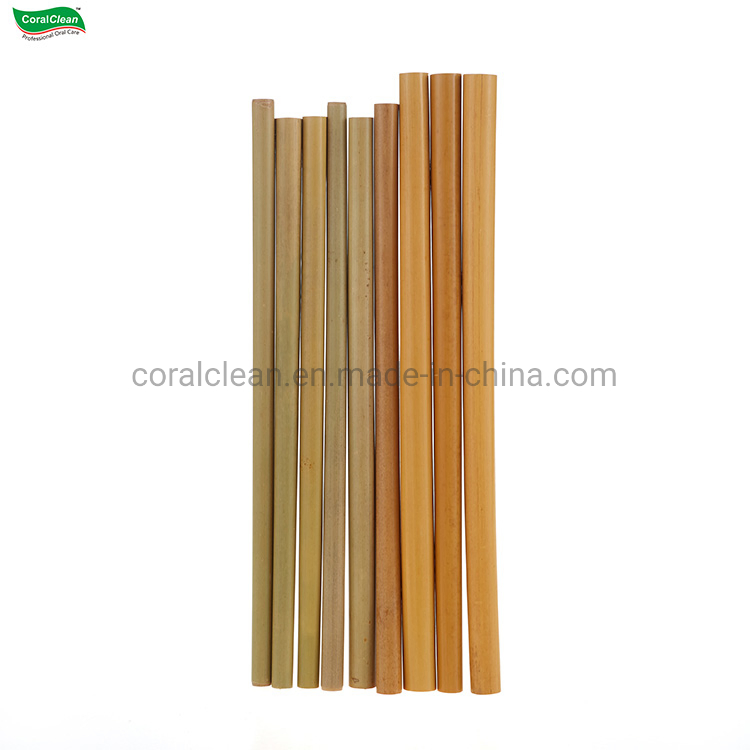 Bamboo Straws for Party Favors Wedding Eco Friendly Bamboo Drinking Straw
