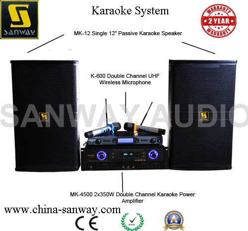 Sanway Audio PA Karaoke System