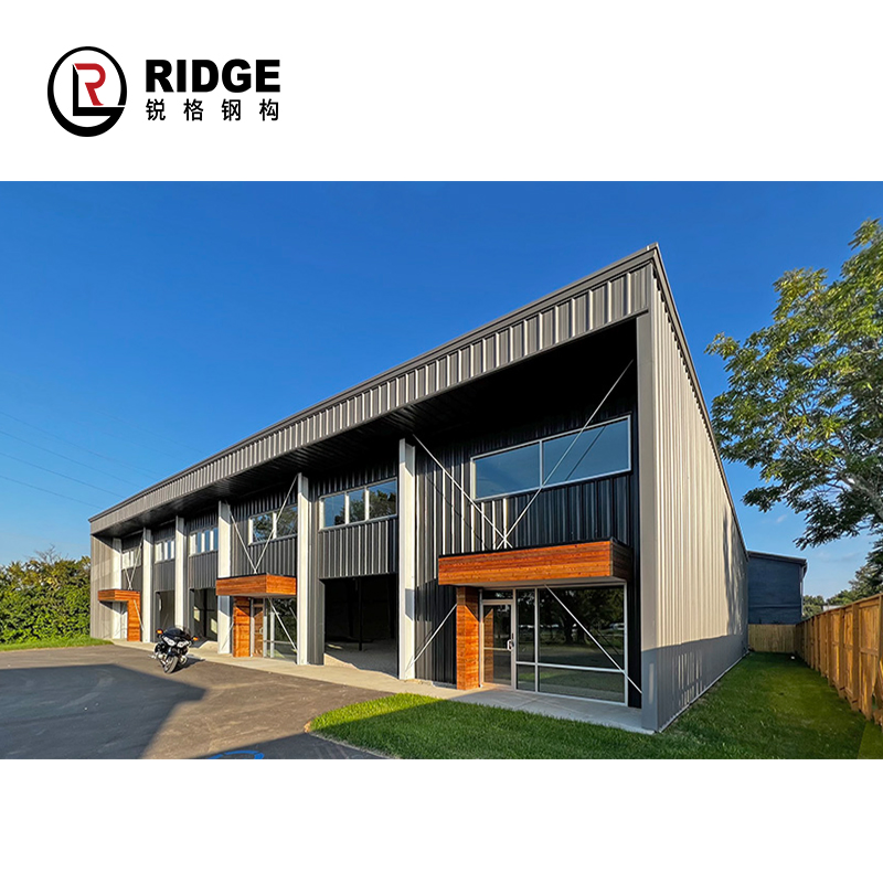 Anti-Rust Painting China Low Cost Waterproof Factory Workshop Steel Building Structure