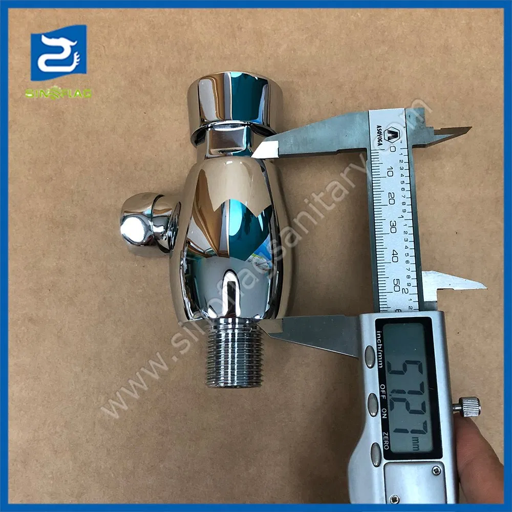 Toilet Wall Mount Push Button Time-Delay Brass Flush Valve