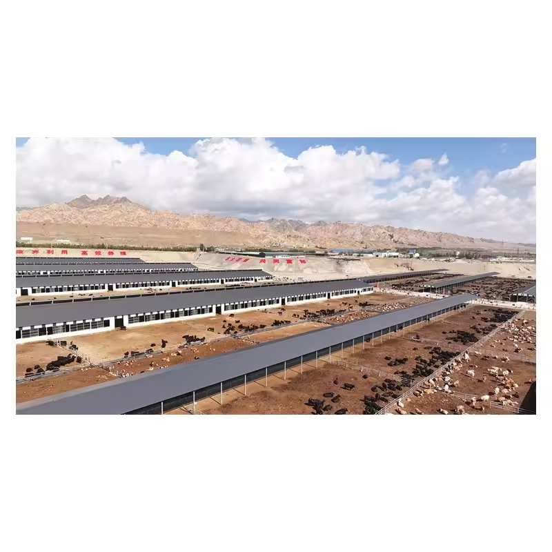 Steel Column Q235 Ridge Customized Prefabricated Metal Building for Sale