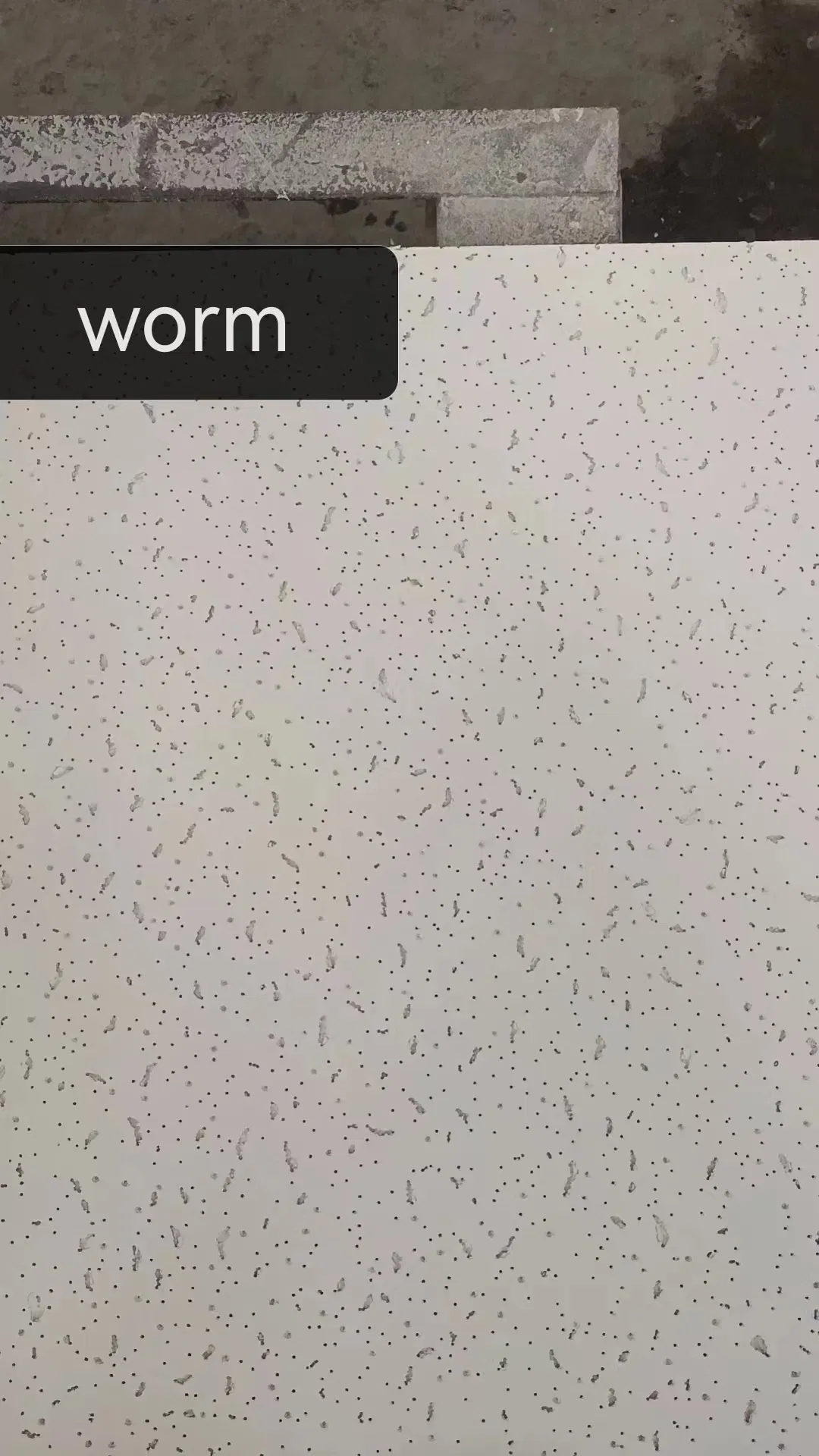 High-Quality White Mineral Wool Ceiling Board for Acoustic Insulation