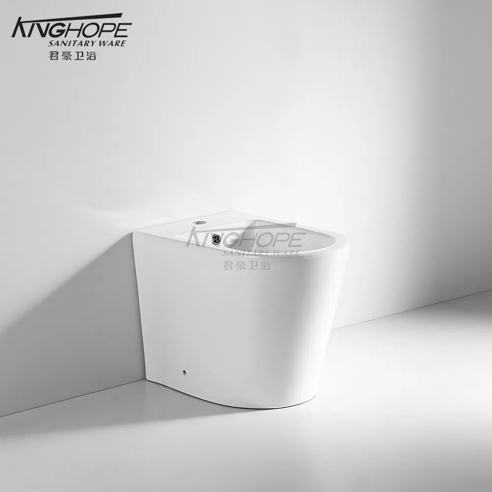 Factory Direct Sale Water-Saving Ceramic Floor Standing Wc Bidet