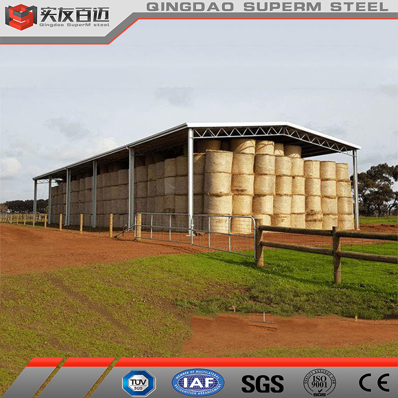Cheap Affordable Waterproof Agricultural Storage Building Prefabricated Steel Structural Shed