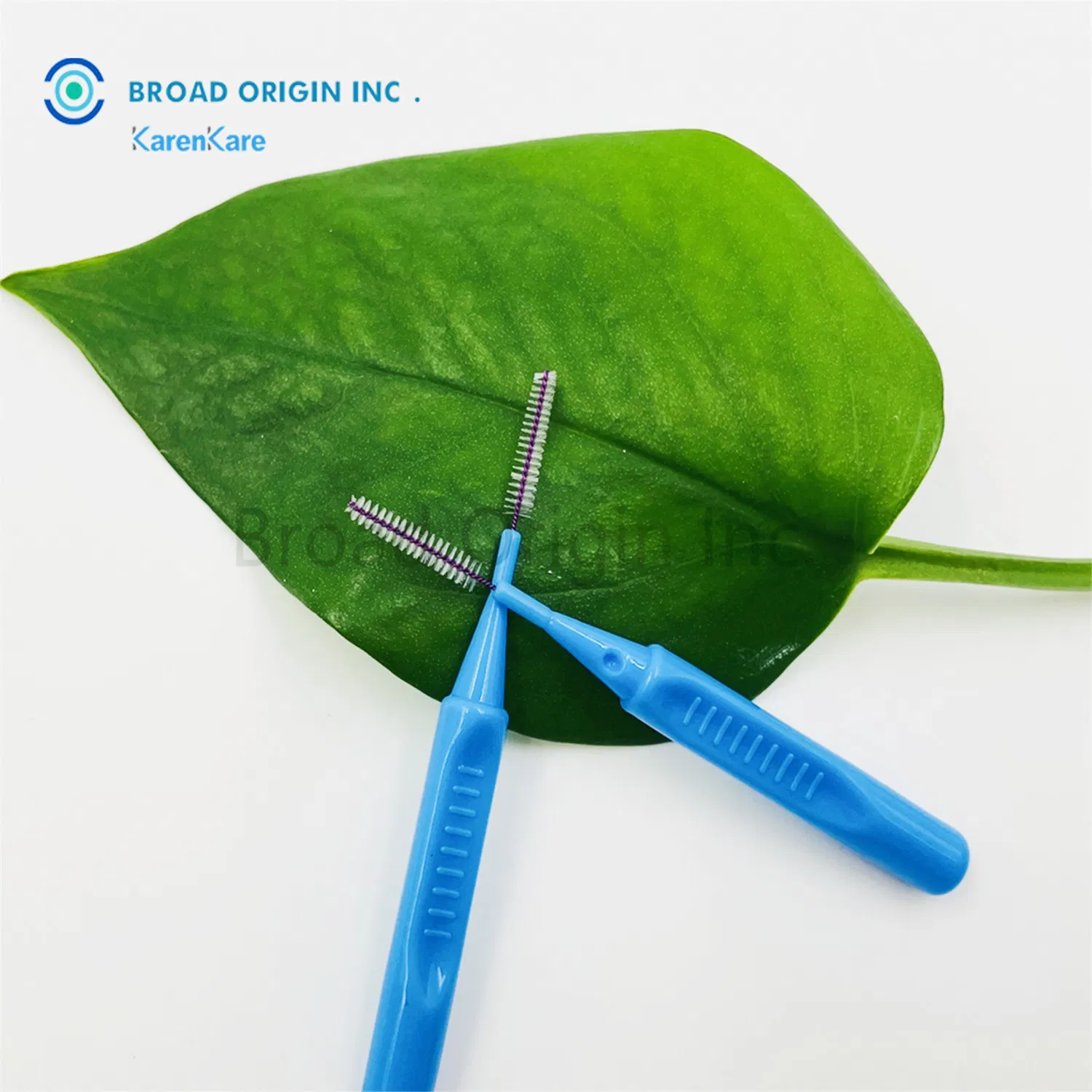 CE Certificate Approved I Type Interdental Brushes Clean The Interproximal Surfaces of Teeth and Implants