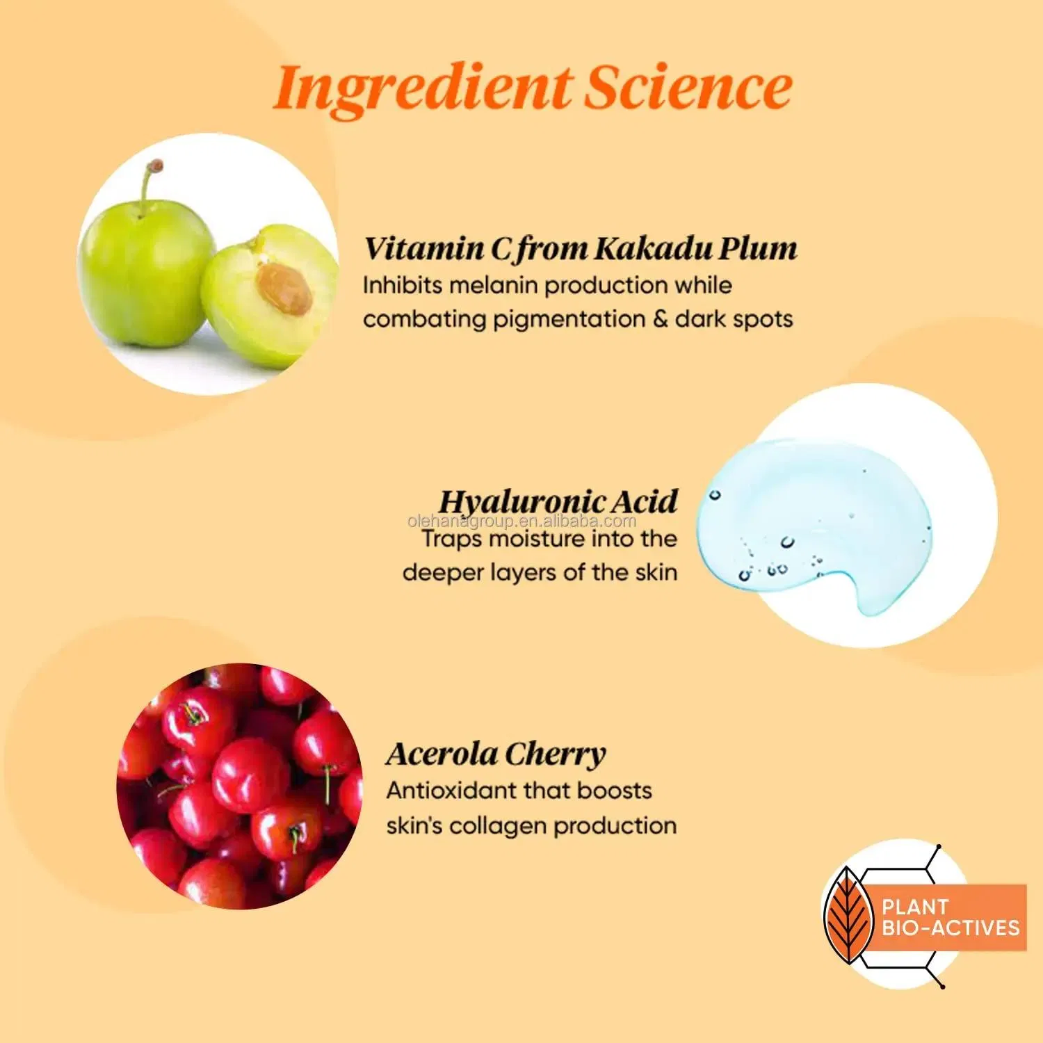 Wholesale Advanced Moisturizer Anti Aging Facial Serum Hyaluronic Acid Essence 30ml Vitamin C Face Serum for Glowing Skin
