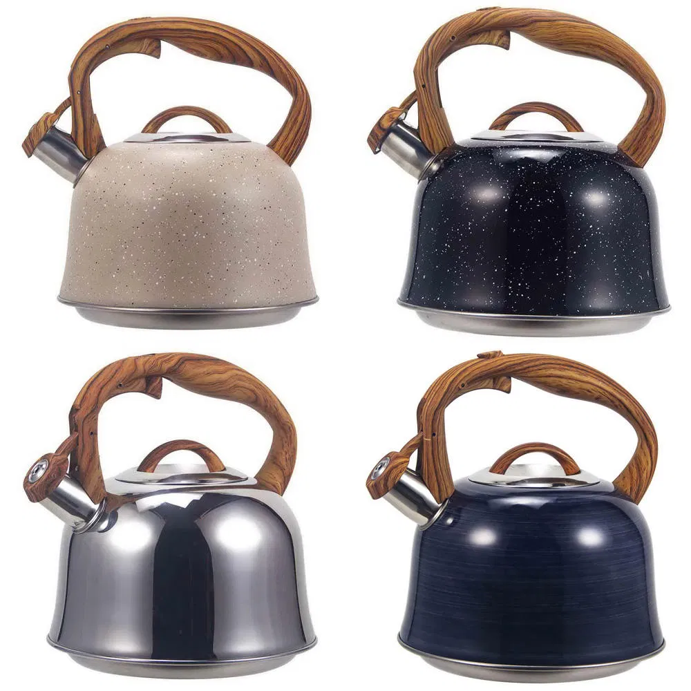 Чайник из нержавеющей стали 3 л с нейлоновой ручкой