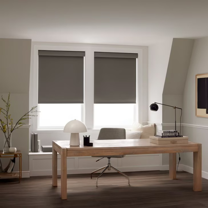 Modern High Quality Motorized Roller Blinds/Shade Window Blinds