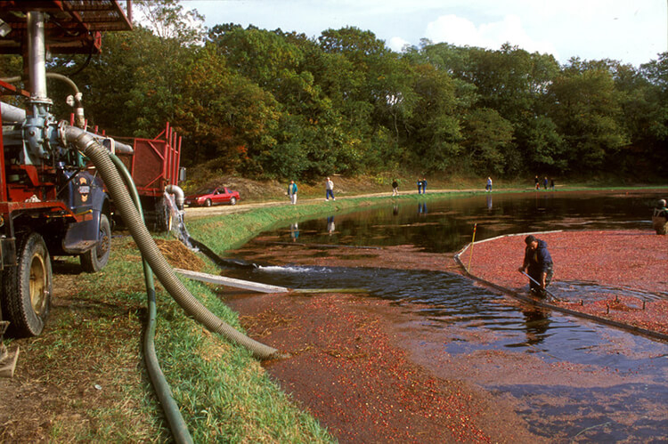 Corrugated Flexible PVC Suction Reinforced Hose 3/4'' 1'' 2'' 3'' 4'' 5'' 6'' 8'' for Water Oil Pump SPA Duct Grit Sewage Mining Vacuum Use