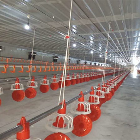 Prefabricated Light Prefab Steel Structure Farmhouse 125*15*3m Poultry Farm Chicken House Broiler Shed