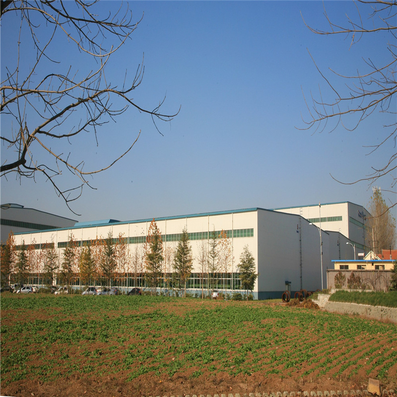 Steel Structure Building/Horse Arena