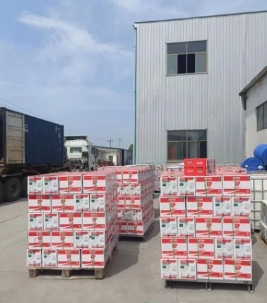 Neutral Silicon Sealant Factory for Glass or Construction