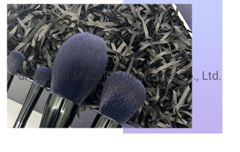 Luxury Makeup Brushes 10PCS Professional Make up Brush Set with Cosmetics Package