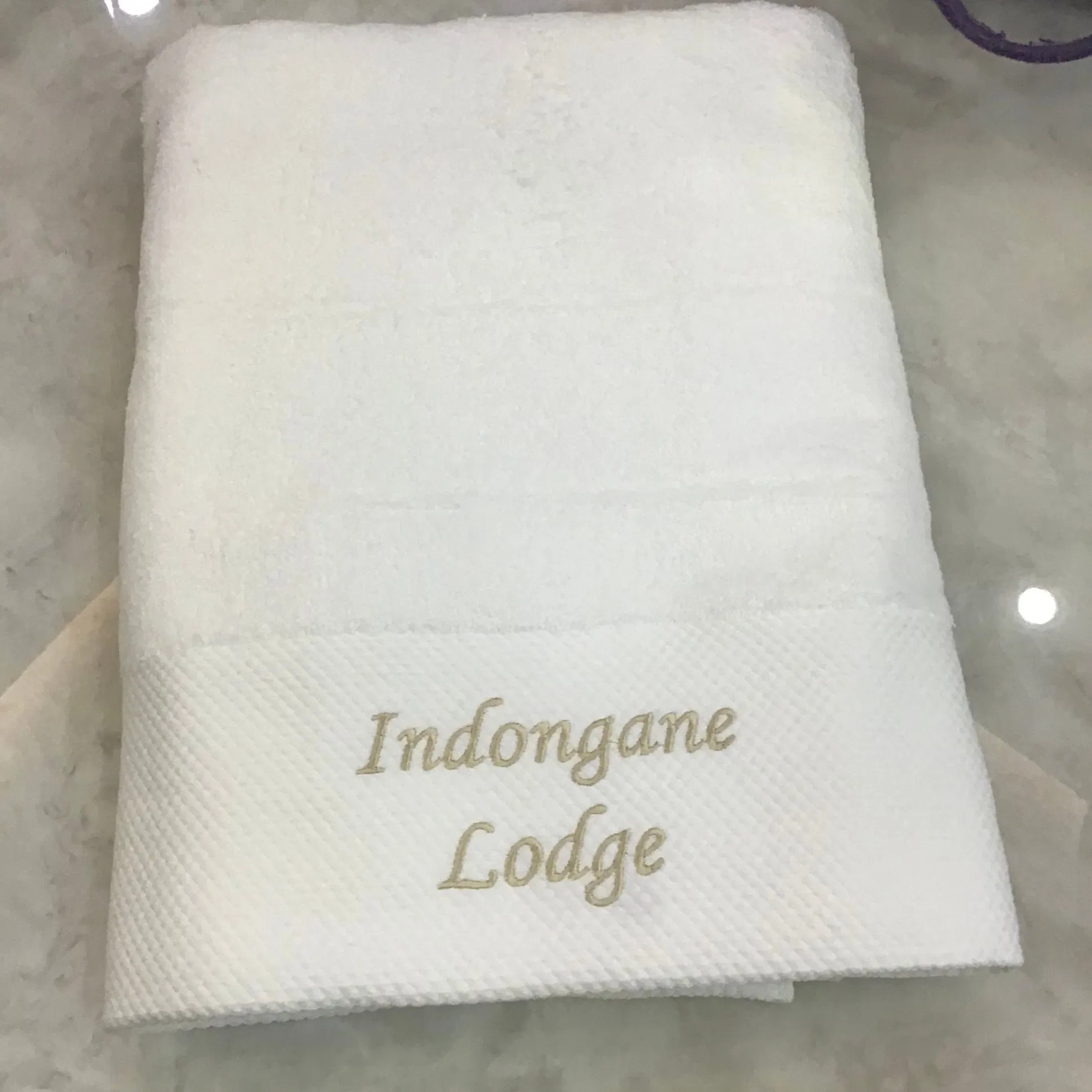 Wholesale Custom Logo Plain White Color 100% Cotton Bath Hotel Towel