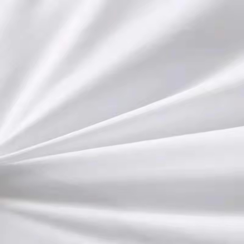 Factory Outlet Modernization High-Quality Pure Cotton Hotel Soft Warm All-Season Duvet Quilt