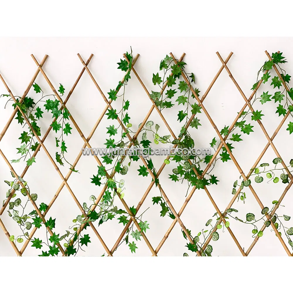 Customized Handmade Expandable Bamboo Trellis Bamboo Fencing Tonkin Bamboo Raw Materials for Decorative Backyard Gardening Villa Cottage