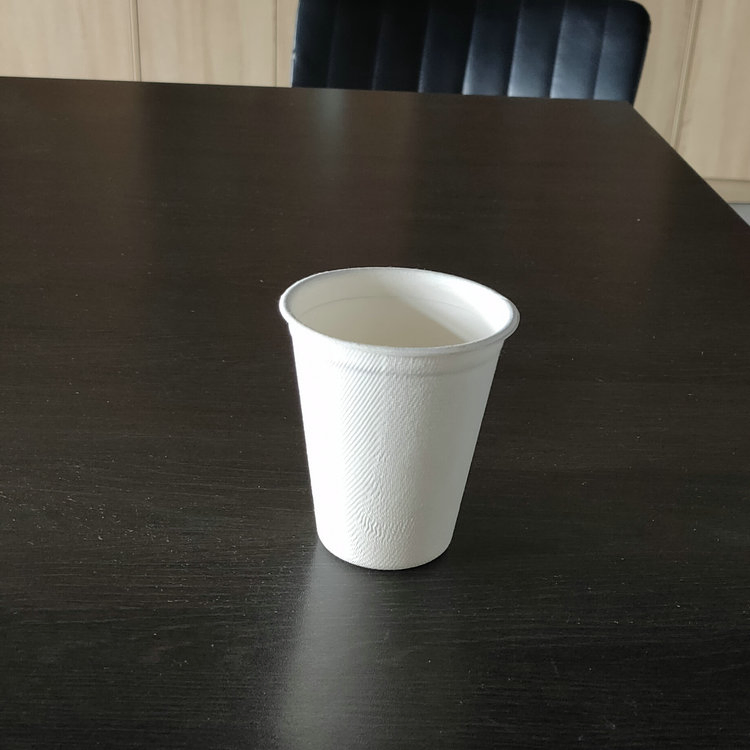 260ml 8oz Bagasse Disposable Hot Drink Cups Coffee/Tea Cups