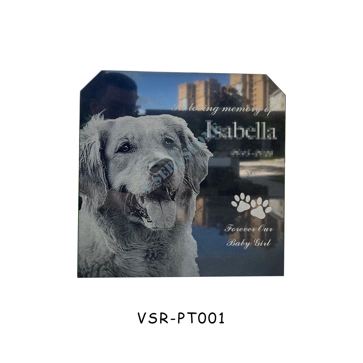 Custom Pet Headstone India Black Granite Engraved Pet Memorial for Grave