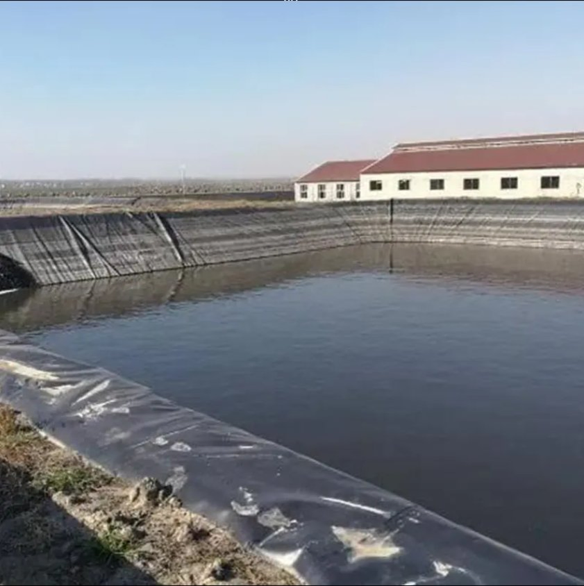 Geomembrane HDPE Liner Textured HDPE Geomembrane Composite Geomembrane Liner HDPE Liner Pond Liner Geomembrane