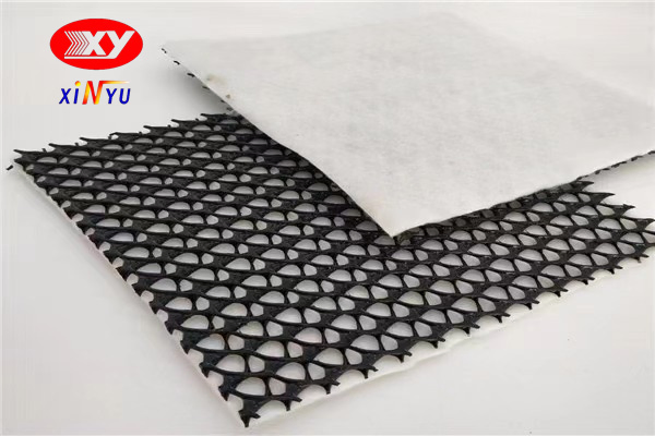 100% Virgin 3D HDPE Drainage Composite Geonet Drainage Network Composite Net Company Price