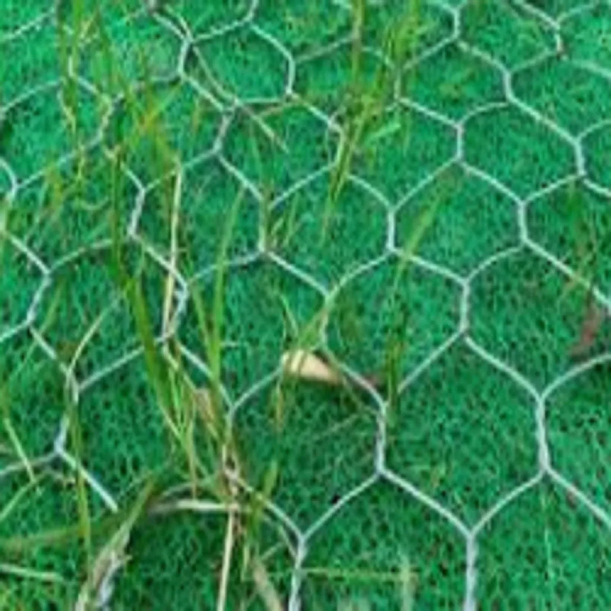 Eco-Friendly Geomat for Effective Soil Erosion Prevention and Grass Growth