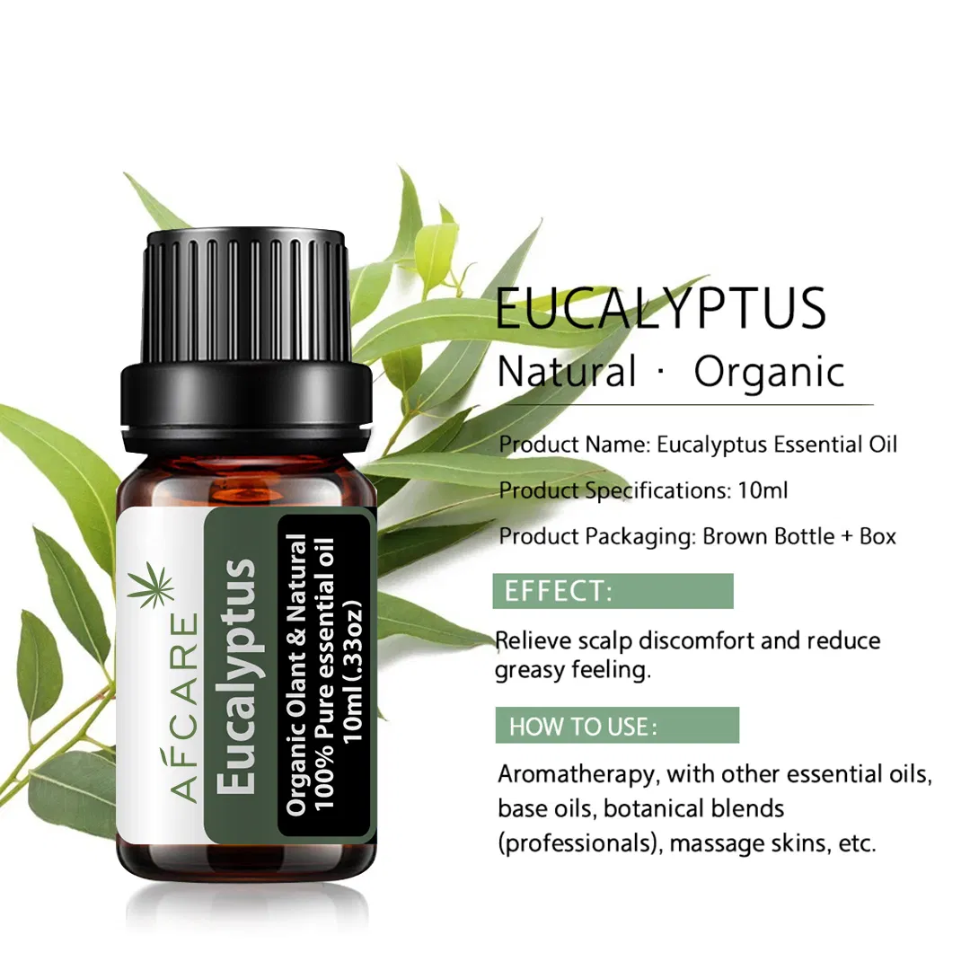 100% Pure OEM Eucalyptus Essential Oil Therapeutic Grade Aromatherapy