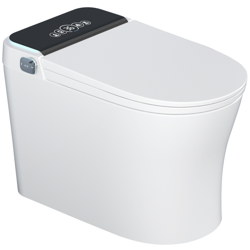 Simple and Popular Fashionable Intelligent Toilet