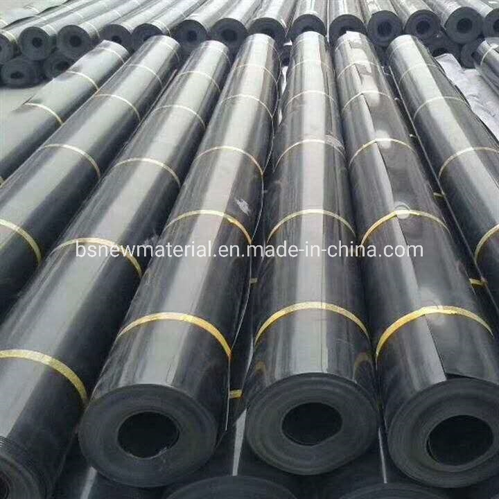 0.75mm Thick HDPE Ponds Liner Geomembrane Used in Salmon Fish Ponds