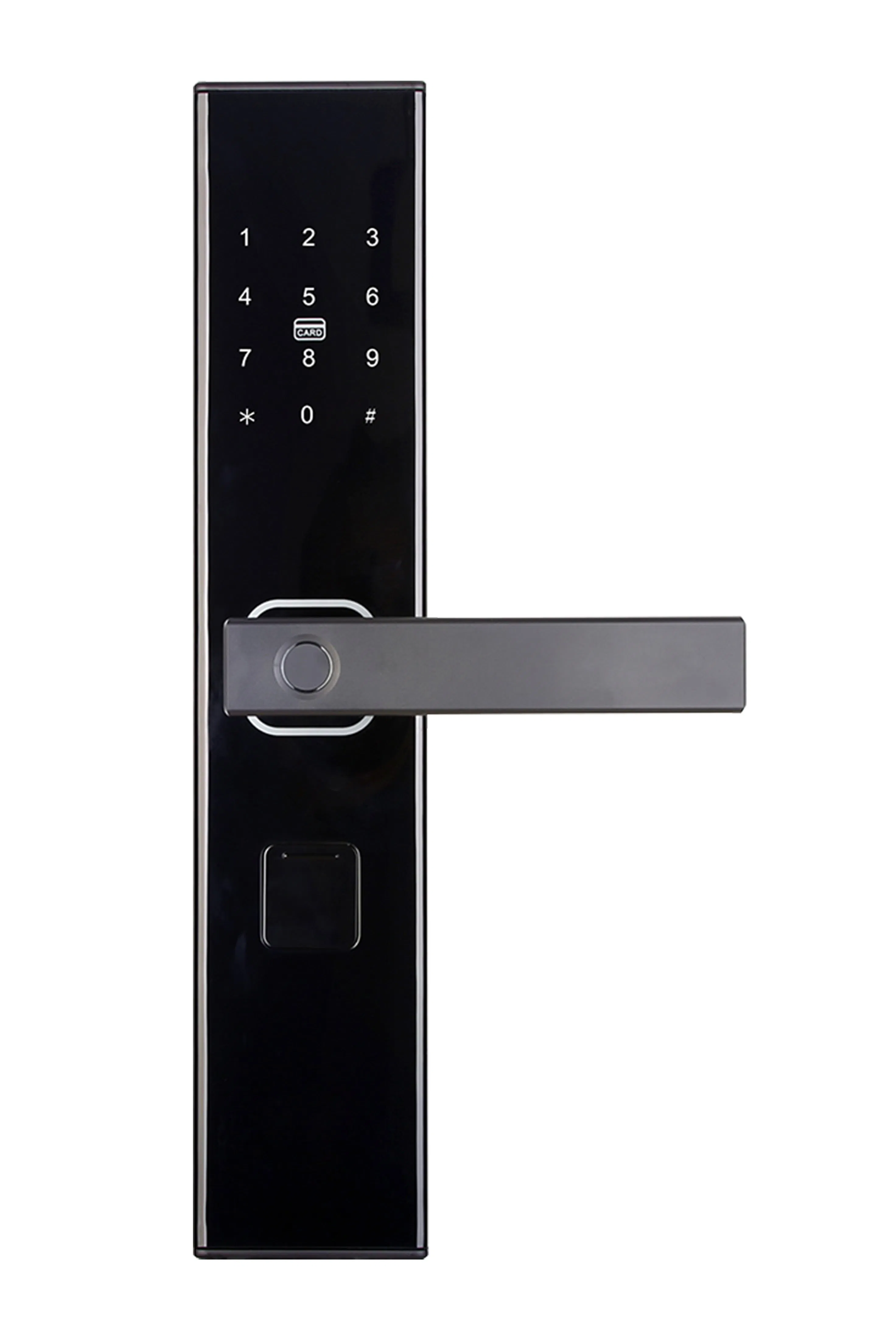Smart Lock Aluminum Alloy 3D Face Recognition Fingerprint