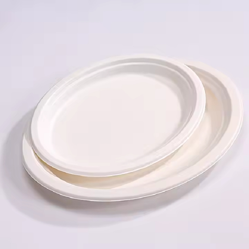 Supplier Biodegradable One Time Use Microwave Safe PP+Rice Husk Disposable Plates