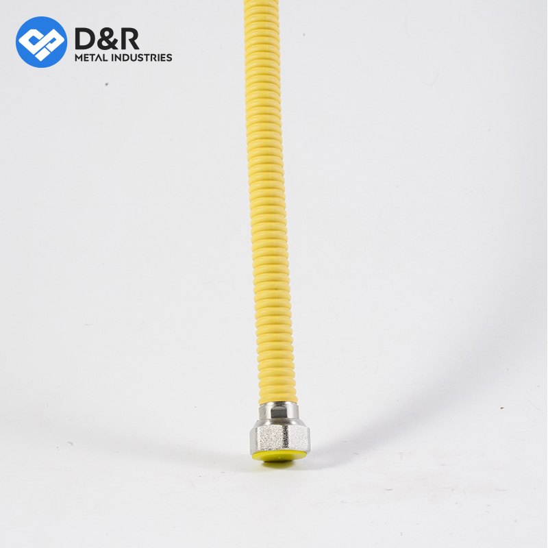 D&R Good Quality 1/2~1" 30cm~50cm SS304 with Brass Screw Flexible Gas Hose