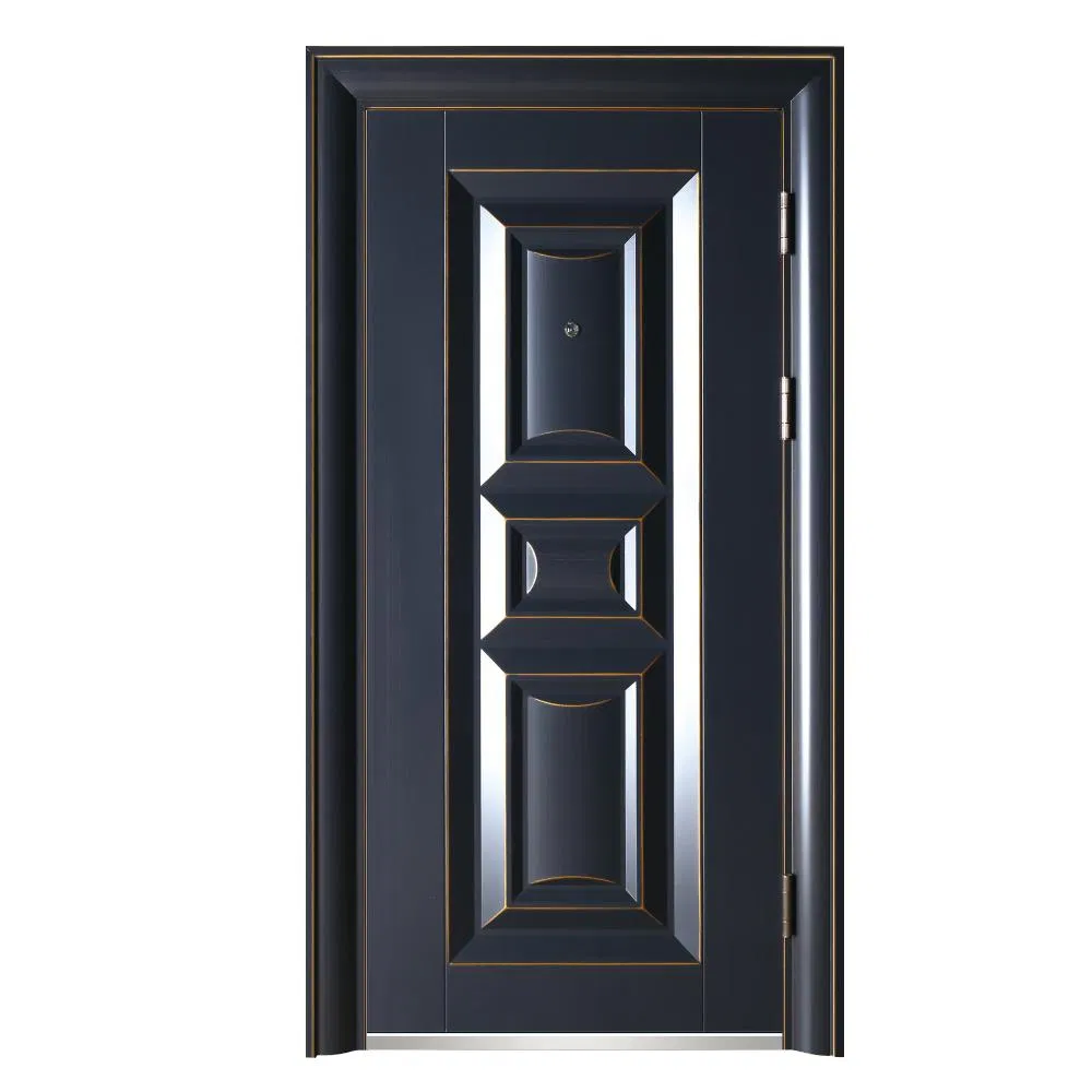 Stylish Steel Security Door Designed for Maximum Safety