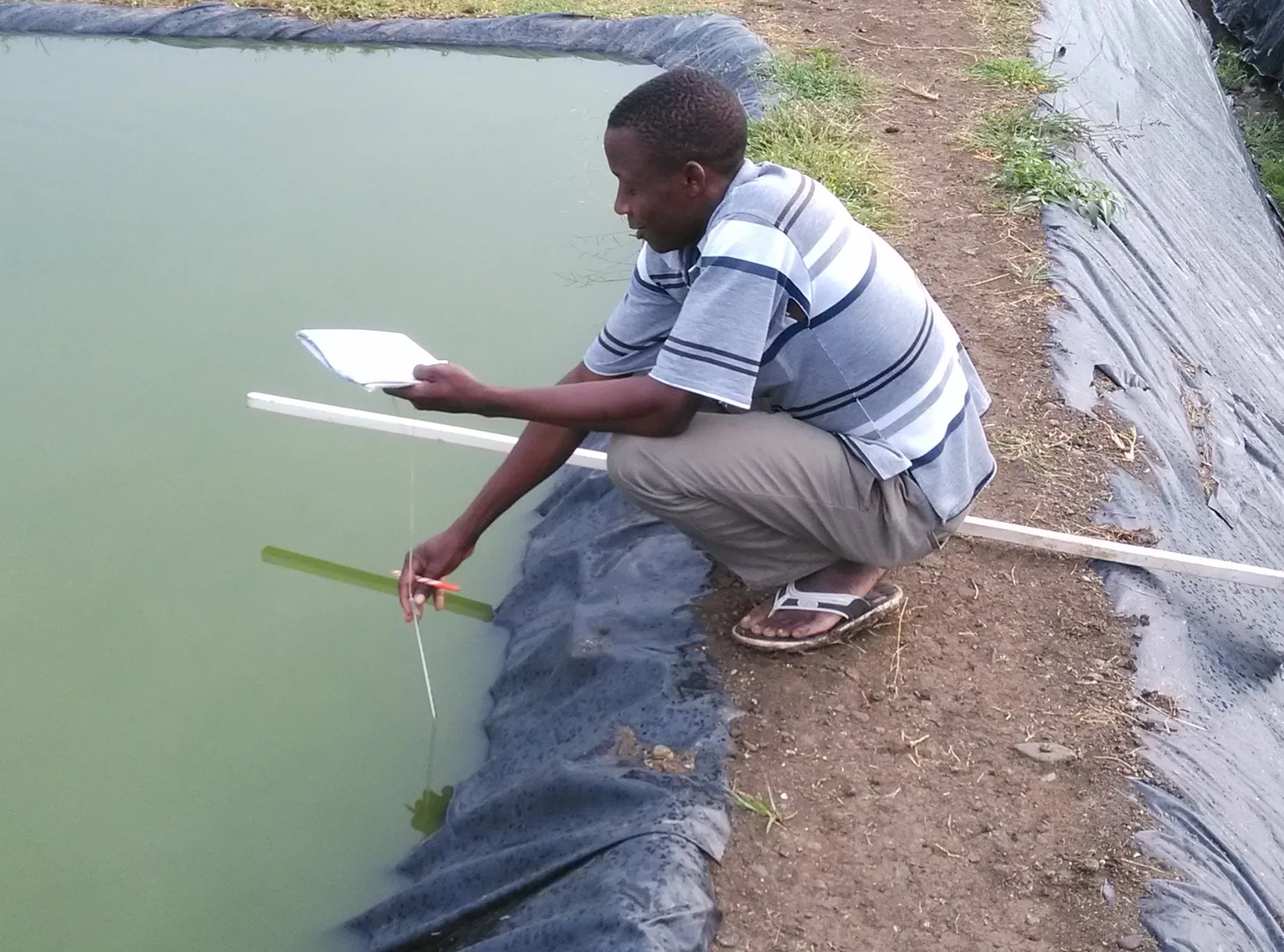 HDPE Geomembrane, Waterproofing Geomembrane for Fish Farm