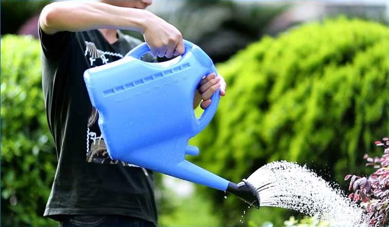 Hot Sold 12L Plastic Garden Household Water Pot Watering Can