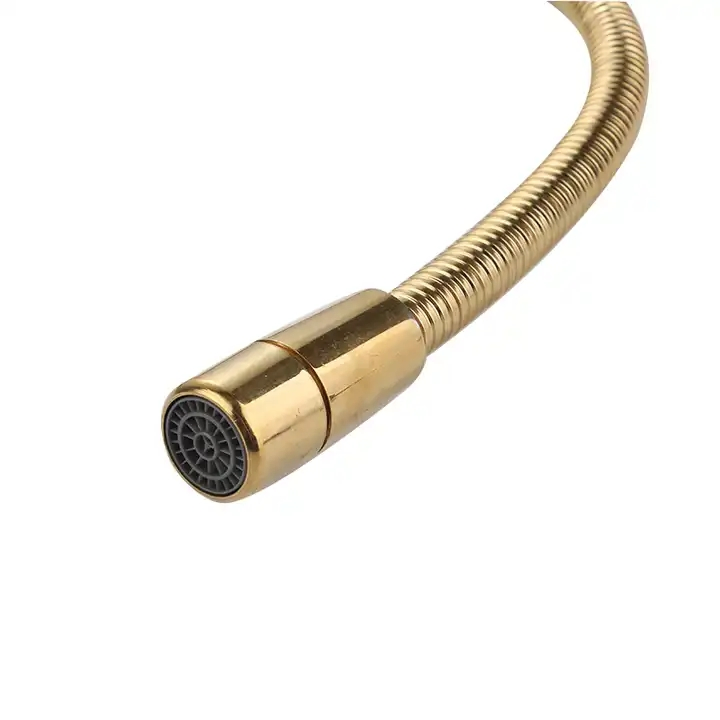 Extension Gold 304 Stainless Steel Shower Hose Flexible Hose
