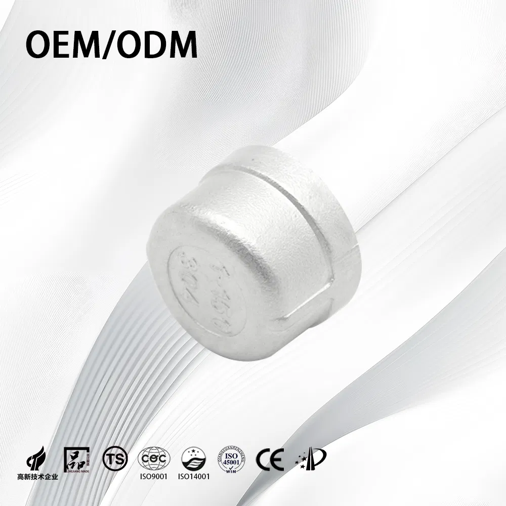 Stainless Steel Customize ANSI B16.9 Threaded Tube End Cap with Sand Rolling