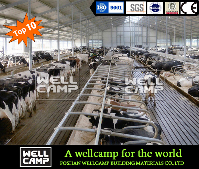 High Quality Customized Steel Structure Cowshed