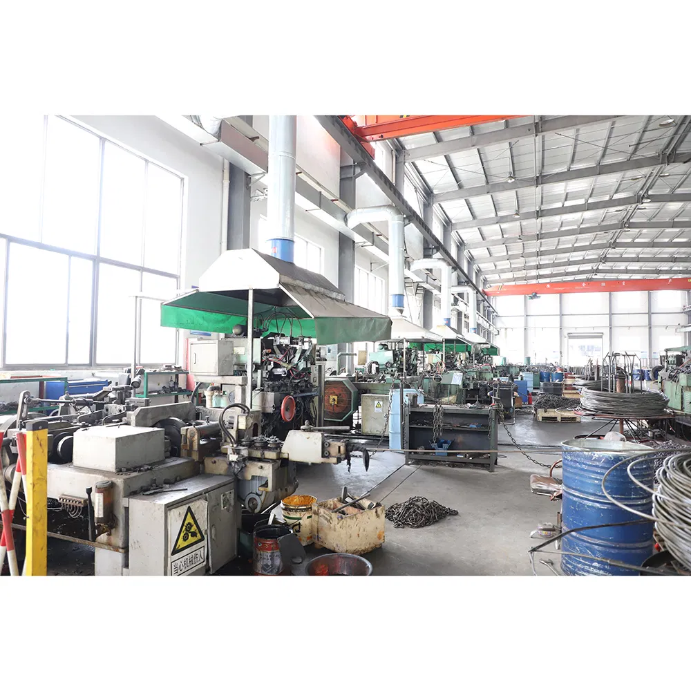 Durable Grade 80 Rigging Hardware Two Legs Chain Sling