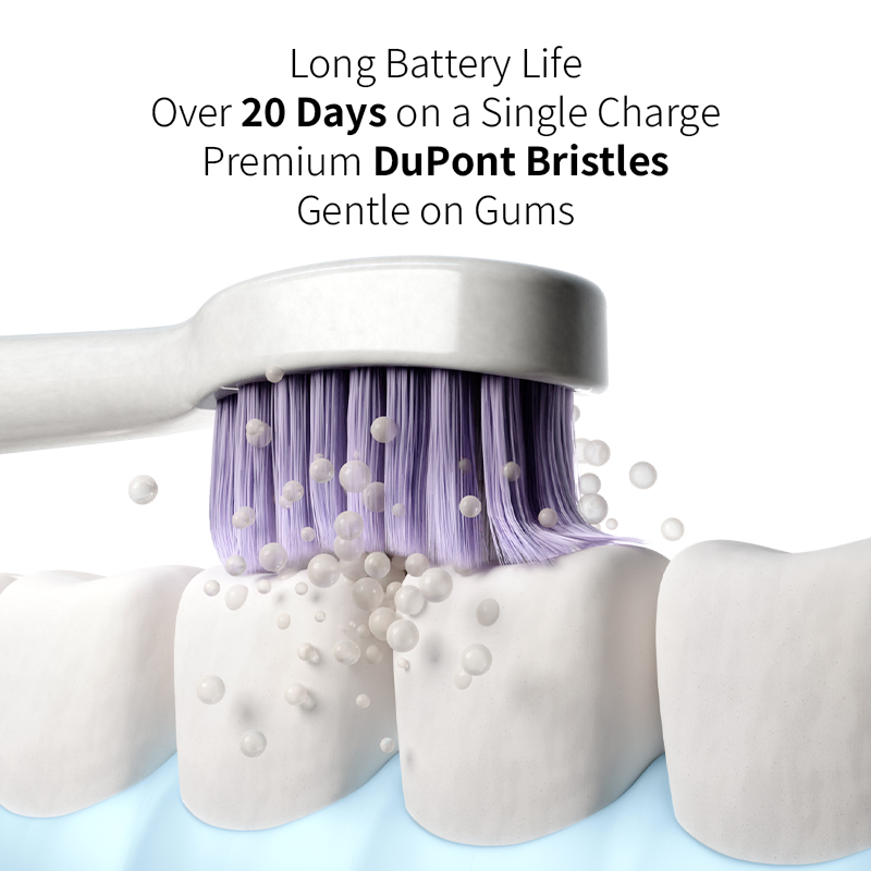 Electric Toothbrush OEM Factory Rechargeable Sonic Toothbrush with LED Display