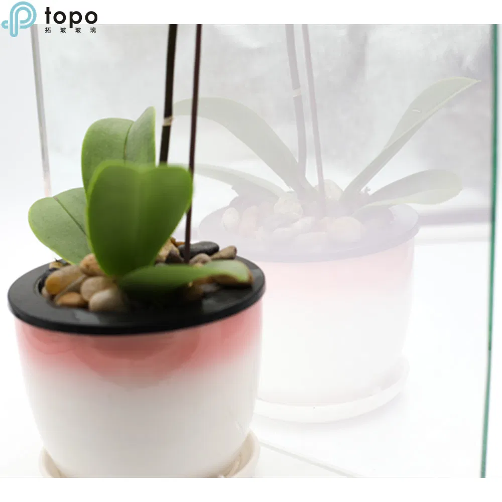 High Transparent Smart Glass Magic Mirror Glass with Good Quality (S-F7)