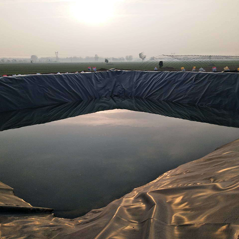 Smooth Surface HDPE Geomembrane Impervious Membrane Landfill Site