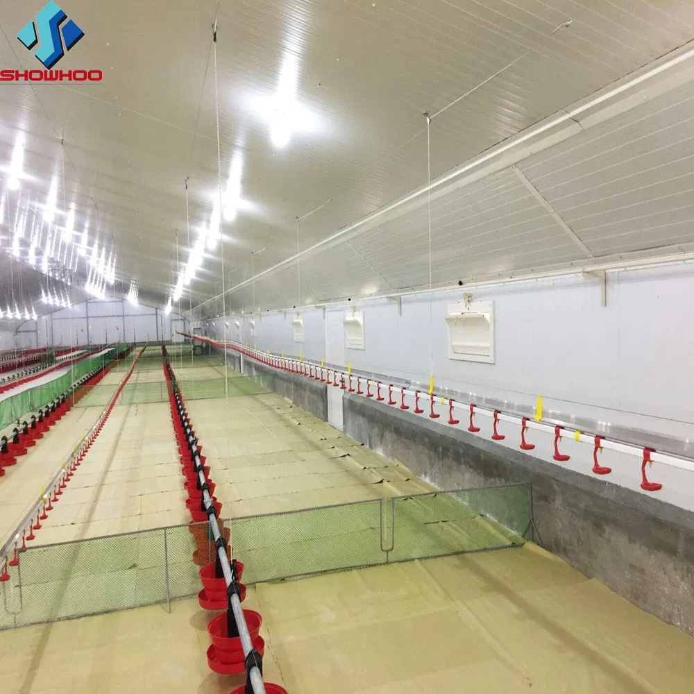 Professional Cheap Layer House Farm/Broiler Chicken House with Equipment Supplier in China Listed Company
