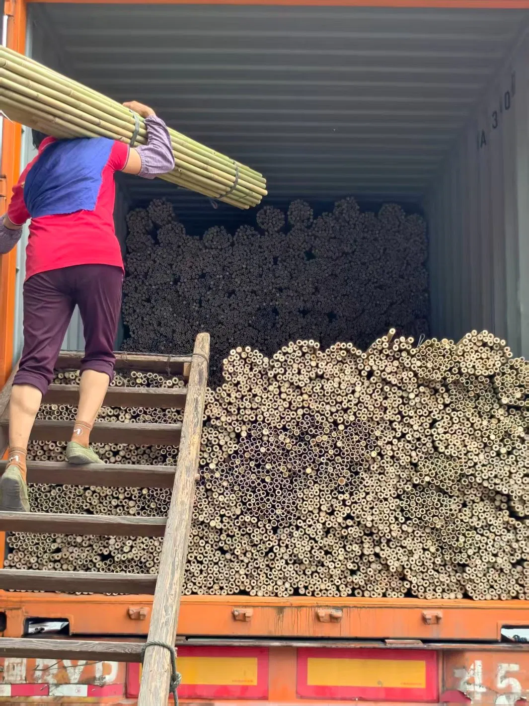 Tonkin Bamboo Pole Stake Stick Cane for Plant/Tree/Flower Support Bamboo C